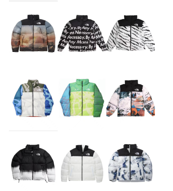 The north face donwnjacket  